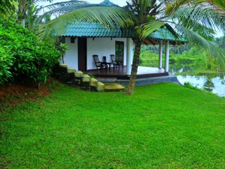 Jungle Heart Cabanas Danwattegoda Exterior photo