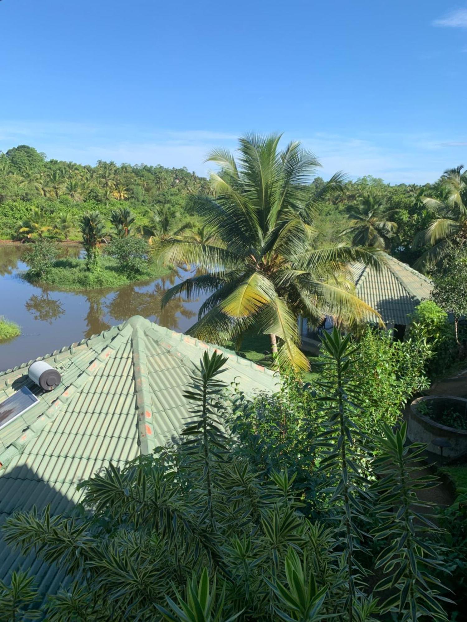 Jungle Heart Cabanas Danwattegoda Exterior photo