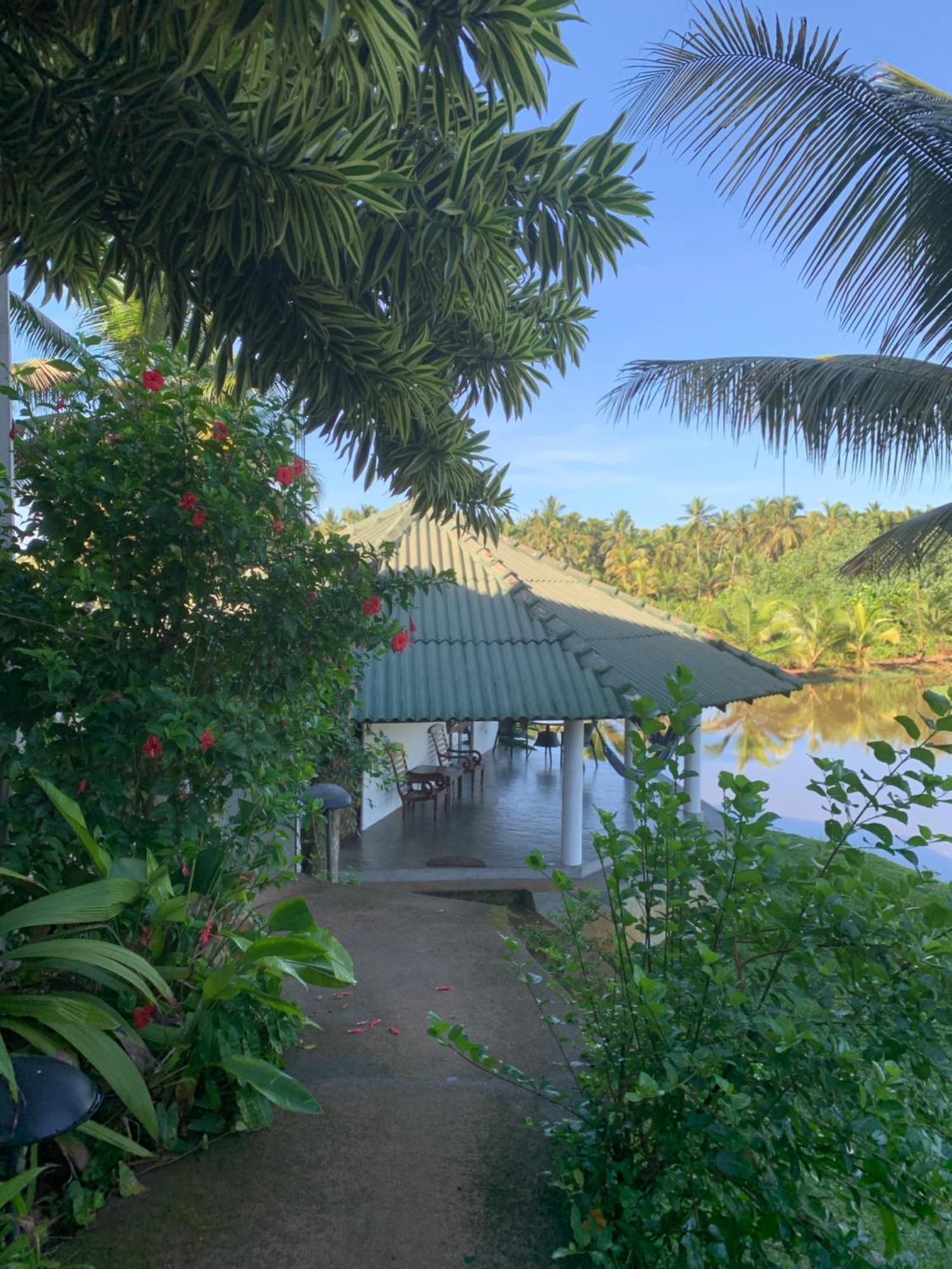 Jungle Heart Cabanas Danwattegoda Exterior photo