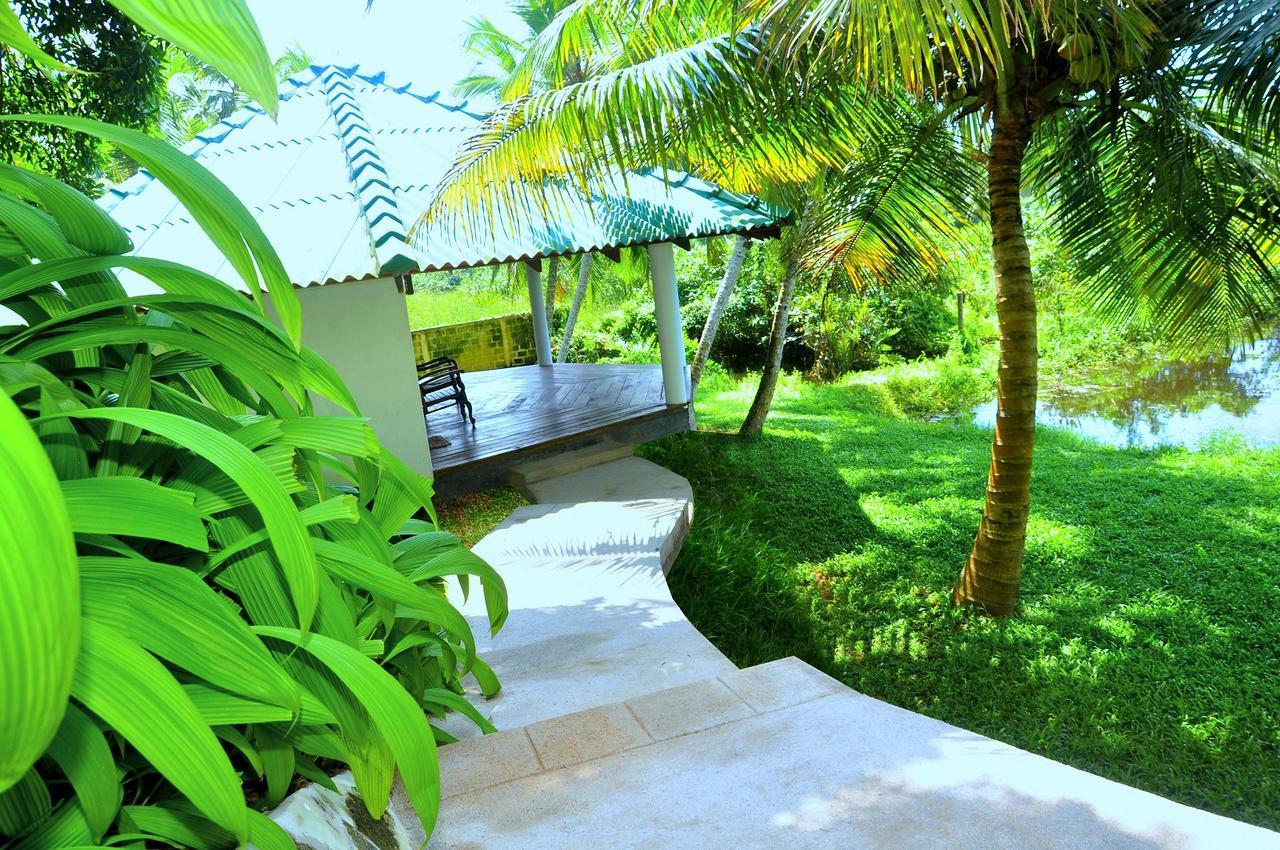Jungle Heart Cabanas Danwattegoda Exterior photo