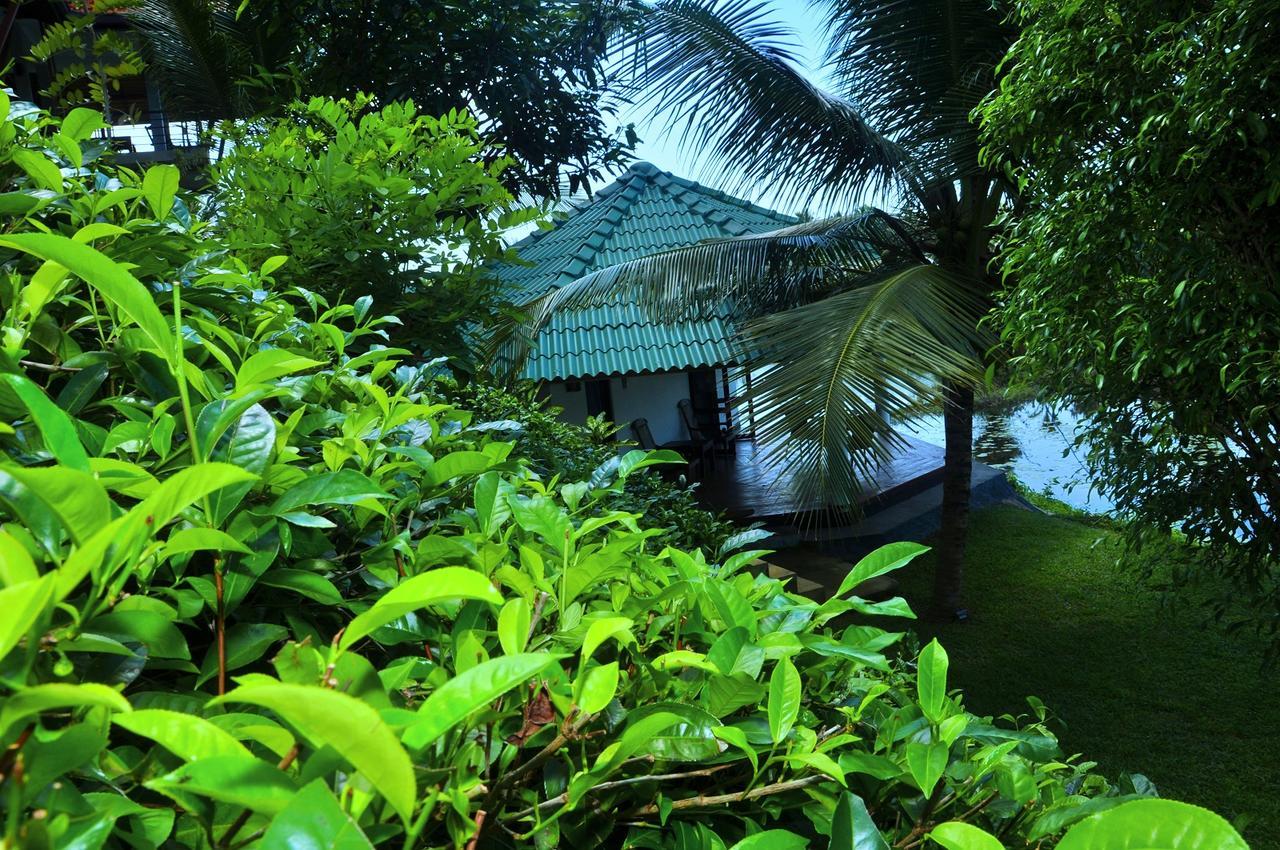 Jungle Heart Cabanas Danwattegoda Exterior photo