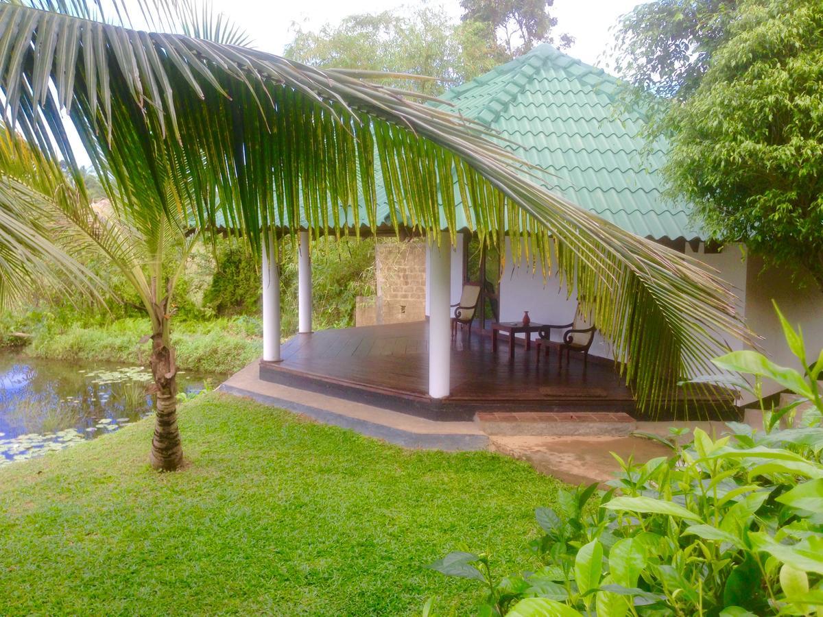 Jungle Heart Cabanas Danwattegoda Exterior photo