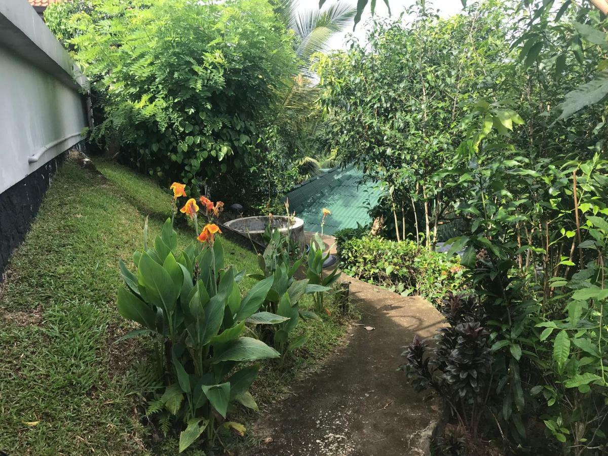 Jungle Heart Cabanas Danwattegoda Exterior photo